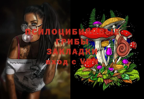 ешки Протвино