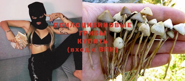 ешки Протвино