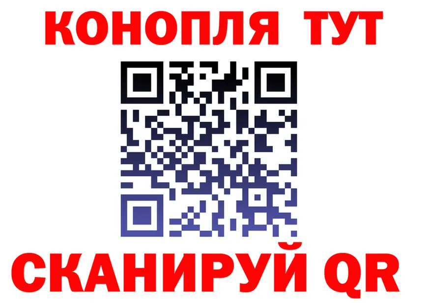 МЯУ-МЯУ мука зеркало площадка KRAKEN Галич
